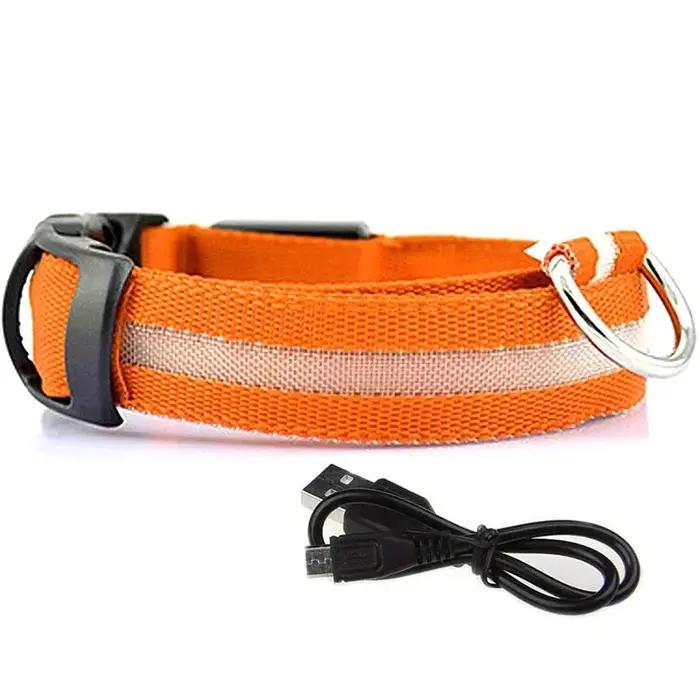 Colliers de chien lumineux LED