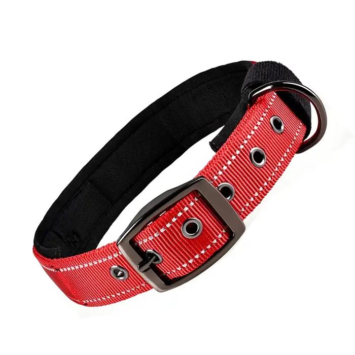 Collier pour chien rayé réfléchissant