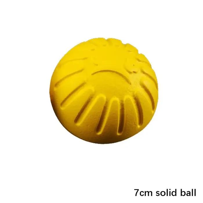 Boule d'Entraînement pour Chien