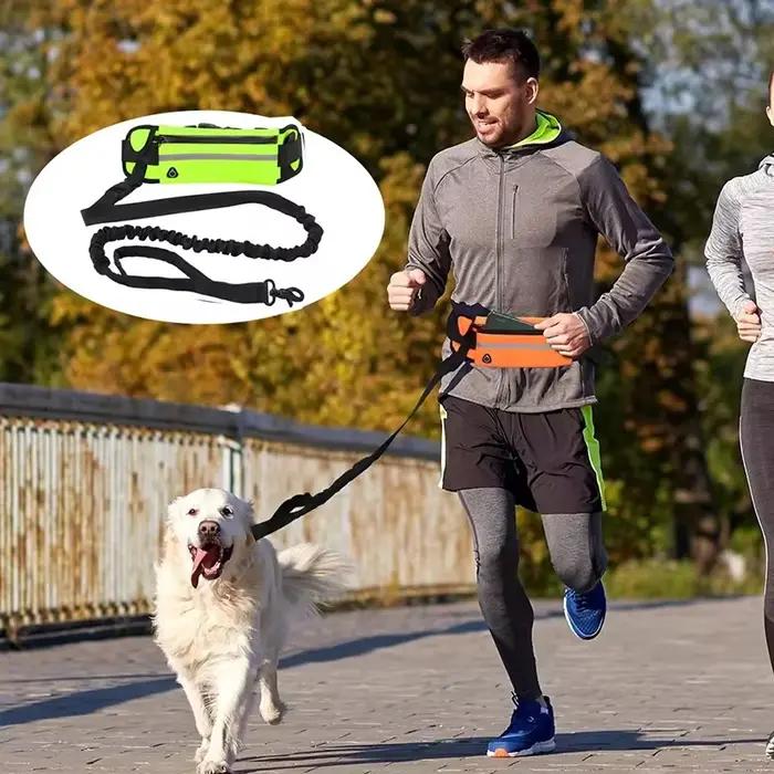 Laisse pour chien mains libres pour la course et la marche