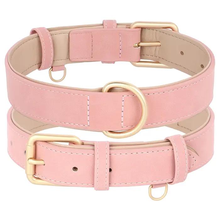 Ensemble de laisse de collier de chien rembourré doux