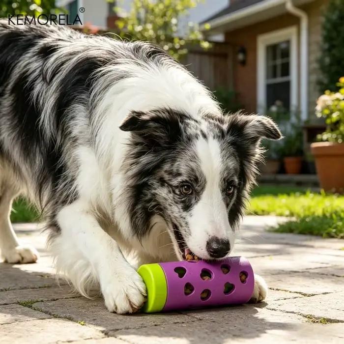 KEMORELA Jouet multifonctionnel détachable pour animaux de compagnie, distributeur de nourriture len