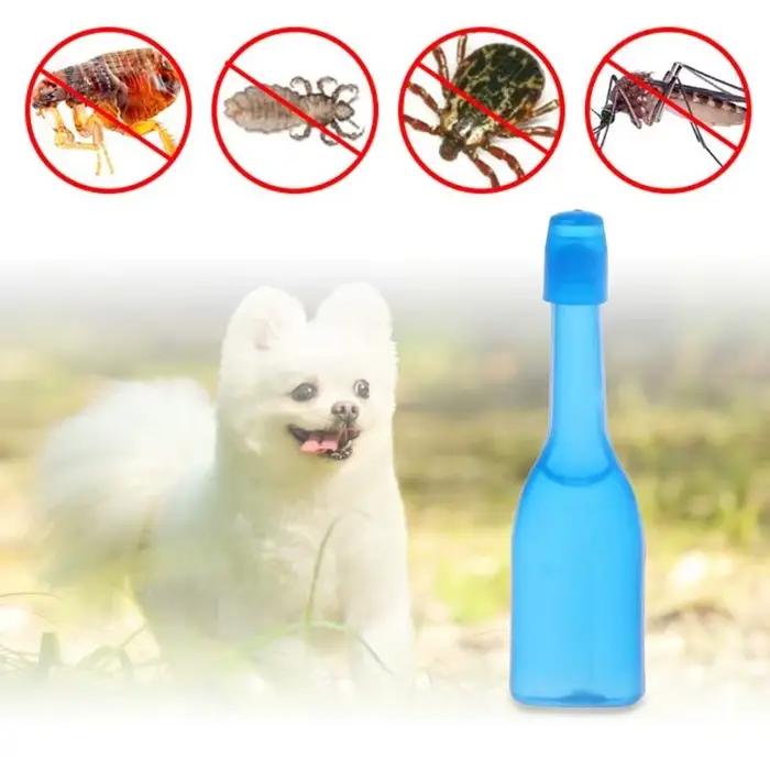 Chiens pour les puces chats traitements à tiques pour petits chiens moyens chiens chats topiques traitements puces