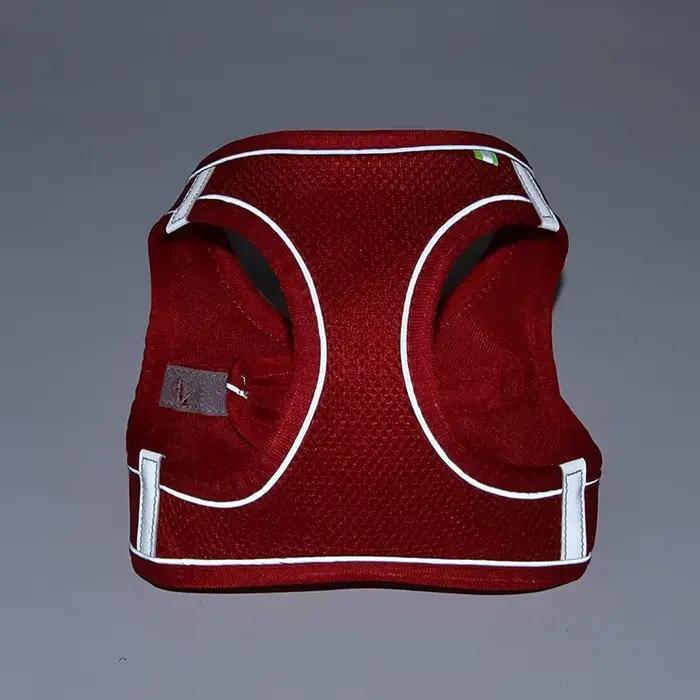Ensemble d'accessoires réglables pour chiots et chats