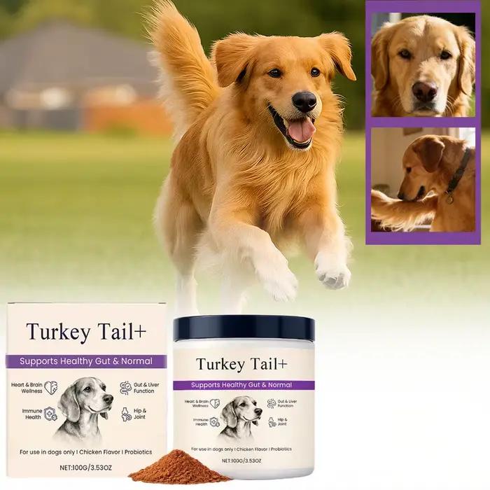 Poudre Probiotique pour Chiens Soin Intestinal Santé Digestive Soutien Immunitaire Saveur Poulet Bœuf Complément Nutritionnel pour Animaux de Compagnie