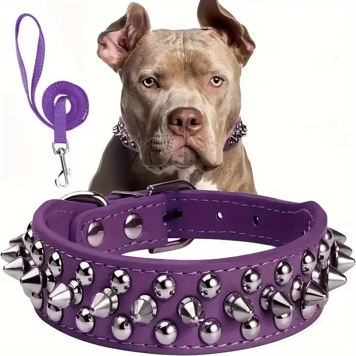 Ensemble collier et laisse pour chien à pointes