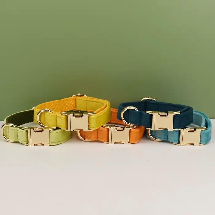 Collier et laisse réglables en velours pour chien, ensemble collier et laisse dorés pour chien, ense