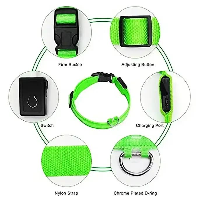 Collier de chien lumineux LED réglable clignotant Rechargea