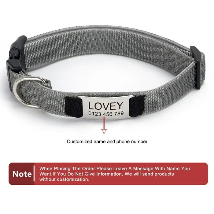 Collier pour chien personnalisé avec étiquette gravée amovible