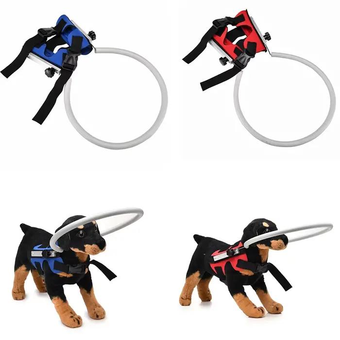 Collier anti-collision aveugle pour animaux de compagnie, guide de chien, aides au comportement d'en