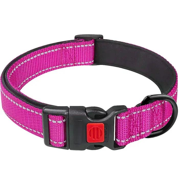 Collier de chien en fonte réglable