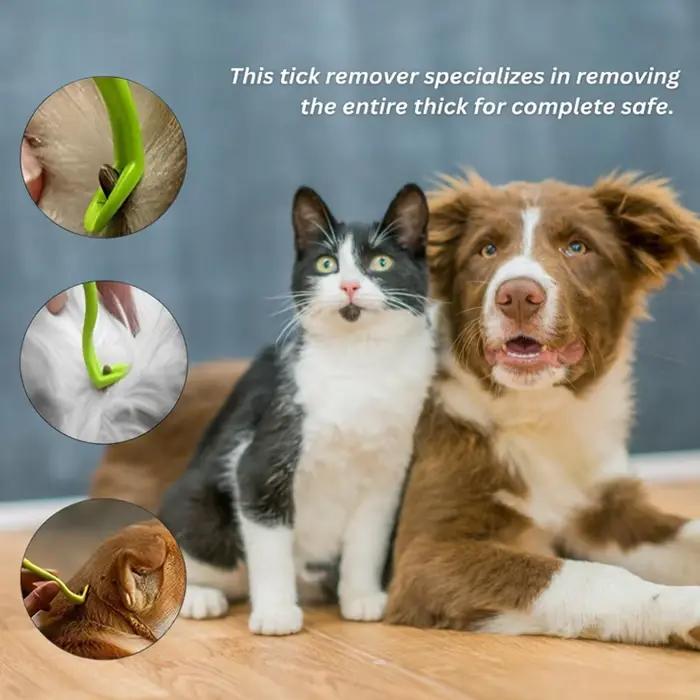 Kit de 3 pinces à tiques portables pour animaux de compagnie