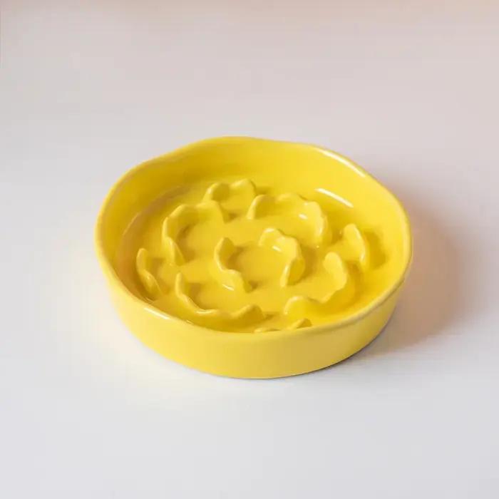 Bol de nourriture lente en céramique