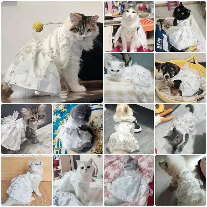 Robe d'été pour petits chiens, vêtements imprimés à la mode, jupe de princesse pour chiot, avec nœud
