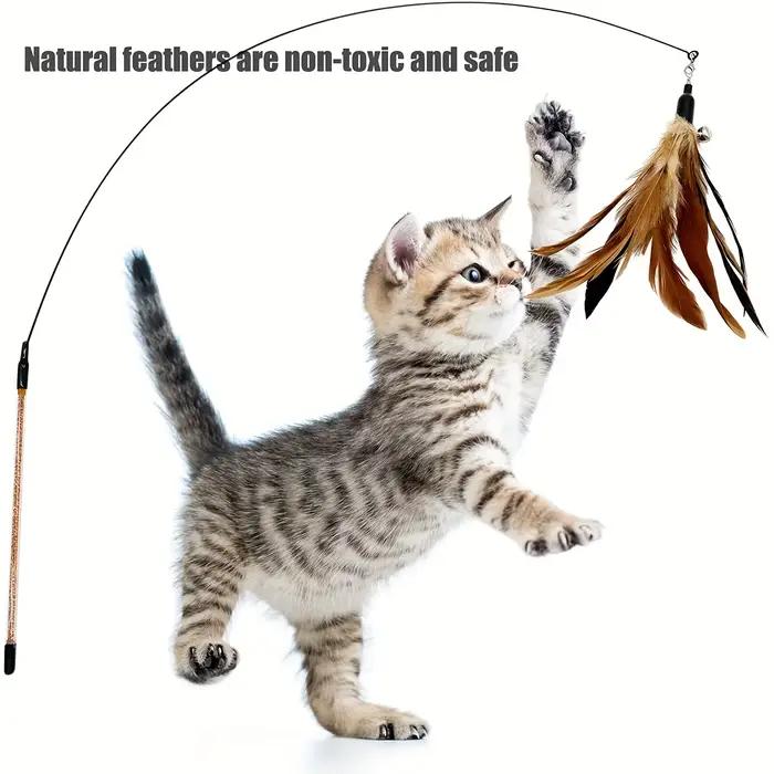 6 pièces jouet pour chat plume remplacement baguette pour chat recharges plumes d'oiseau naturelles