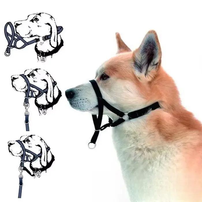 Collier pour chien muselière licou entraînement laisse