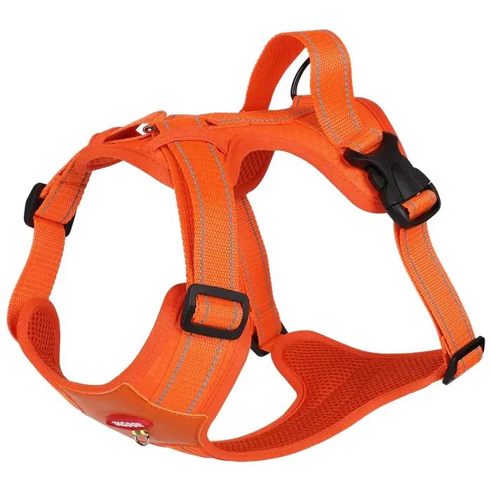 Harnais pour chien laisse pour animaux de compagnie