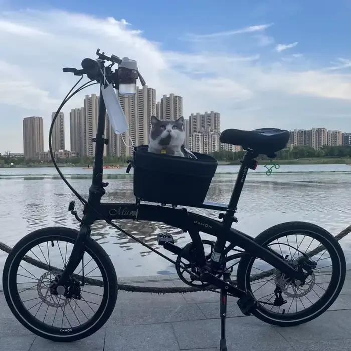 Panier de vélo durable pour animaux de compagnie