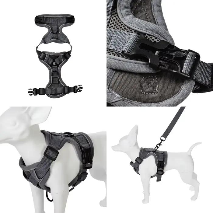 Ensemble de laisse harnais pour chien