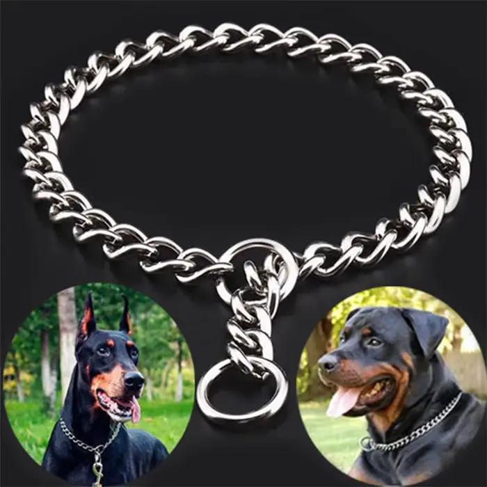 Collier de chaîne serpent pour animaux de compagnie