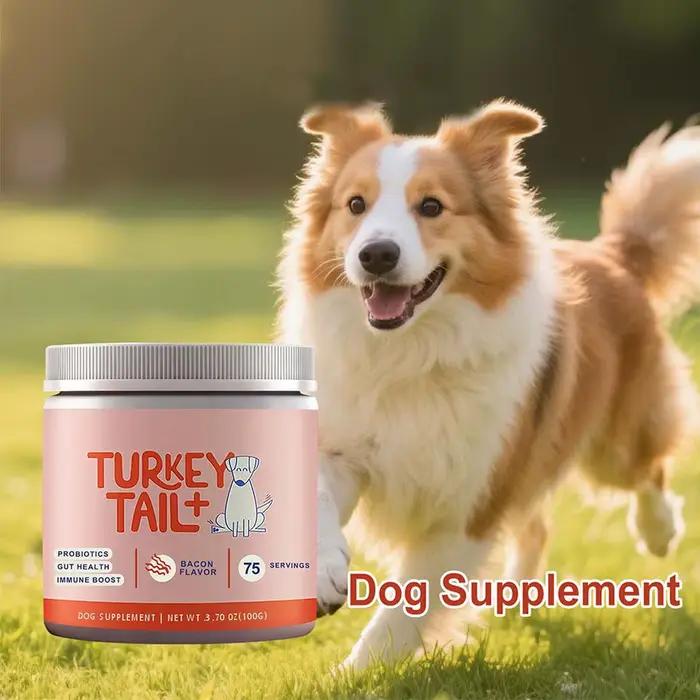 Granulés probiotiques pour chiens pour la santé intestinale - Nourriture douce favorisant une digestion saine