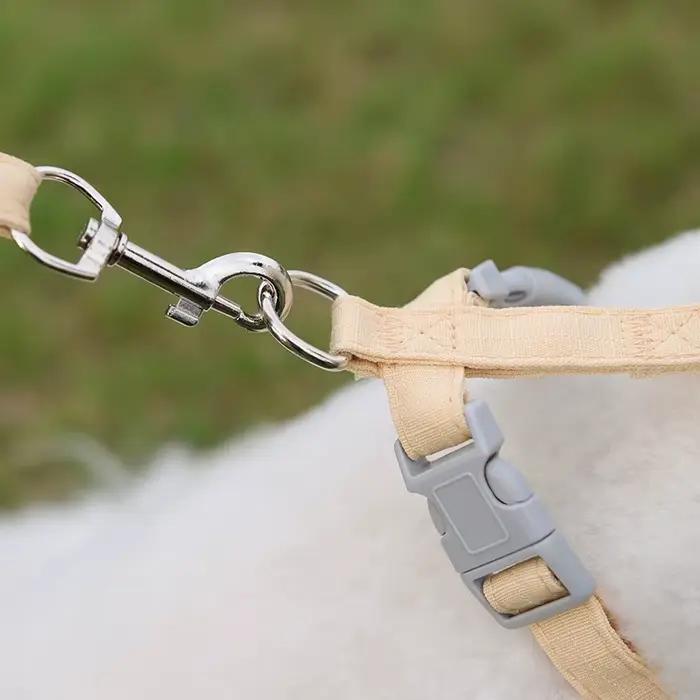 Nouvel ensemble de harnais et de laisse pour chiots et petits chiens