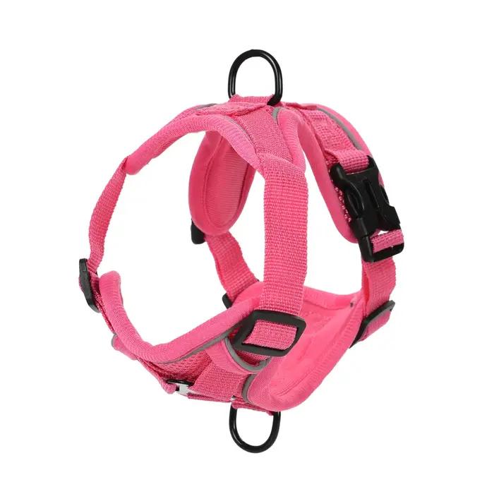 Ensemble de laisse harnais pour chien