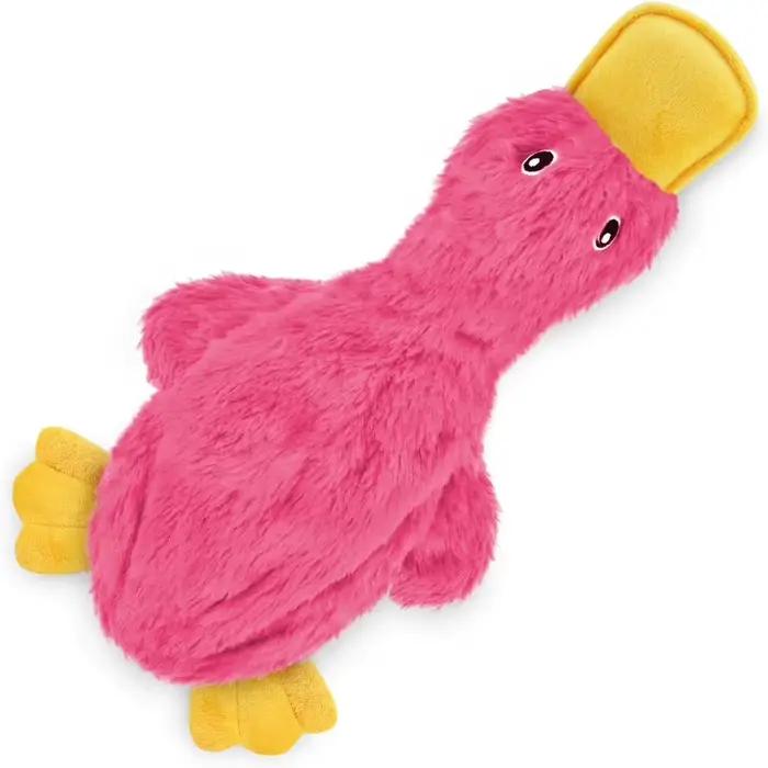 Meilleurs jouets interactifs pour chiens, jouet à mâcher qui couine, idéal pour les chiens qui aimen