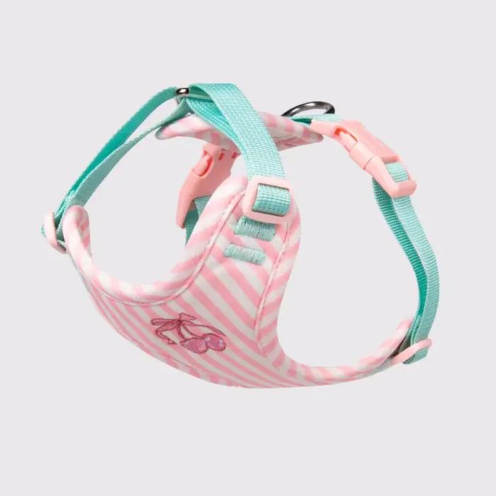 Ensemble de laisse harnais pour chien élégant avec poupée en peluche, mode chiot Chic pour les races