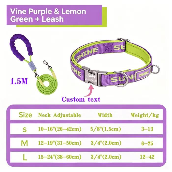 Collier pour animaux de compagnie gravé sur mesure