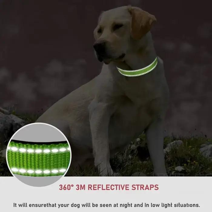 Colliers pour chiens tour de cou petit collier de chien