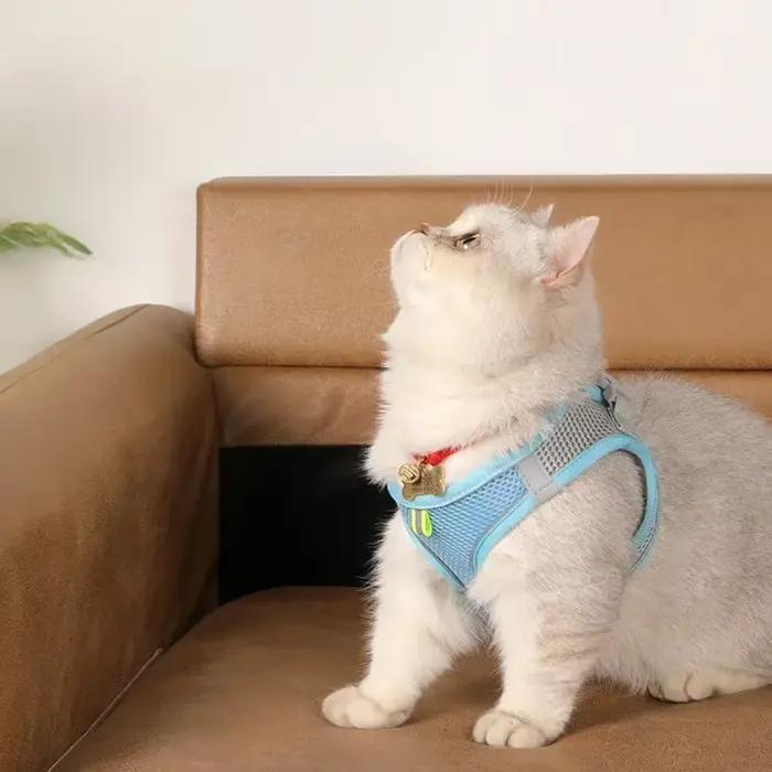 Ensemble de laisse harnais pour chien pour petits chiens