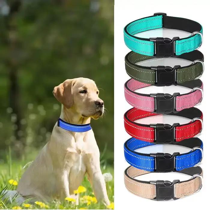 Collier réfléchissant pour chiens de taille moyenne et grande