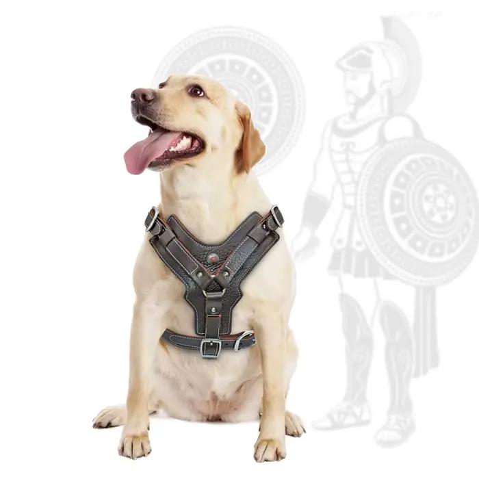 Harnais Durable pour chiens de grande taille