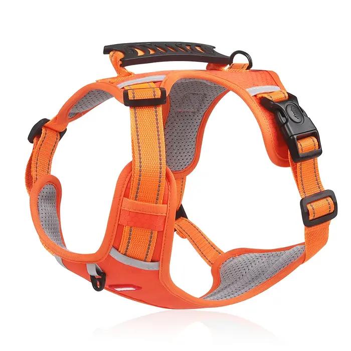 HarNISSAN-Collier pour chien Labrador moyen et grand