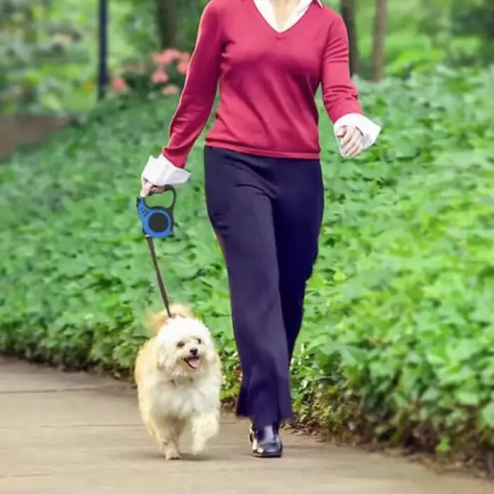 Laisse rétractable automatique pour petits chiens et chats