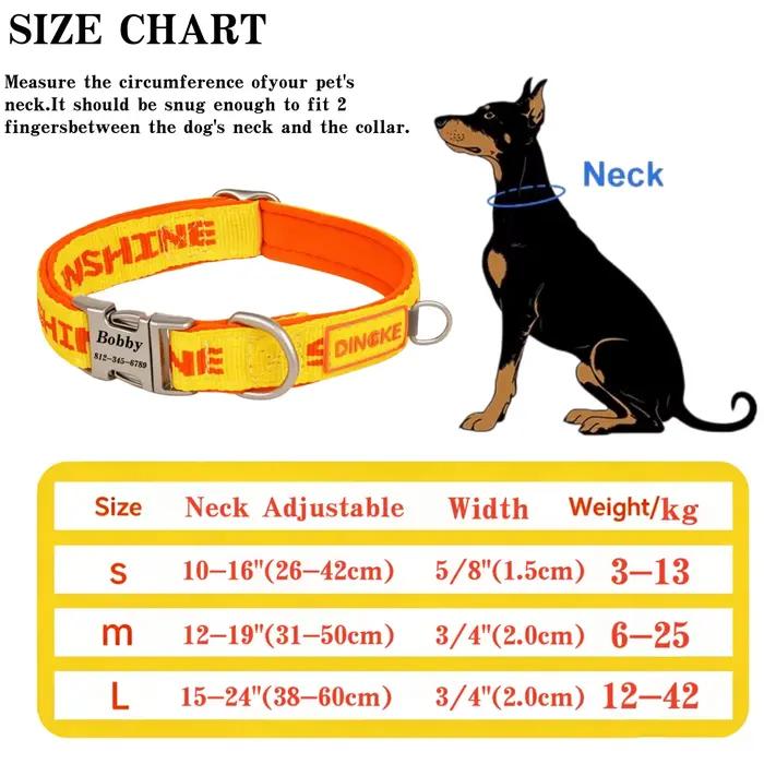 Collier pour animaux de compagnie gravé sur mesure