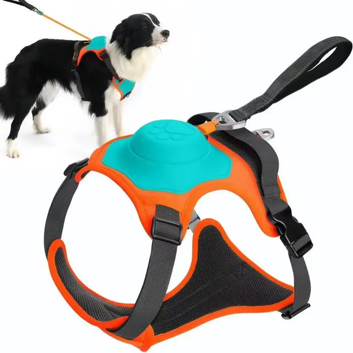 Harnais et laisse rétractable intégrés pour chien