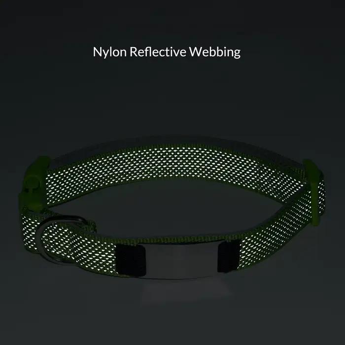 Collier pour chien personnalisé avec étiquette gravée amovible
