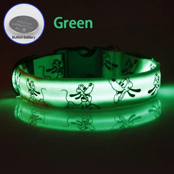 Collier LED réglable pour chien