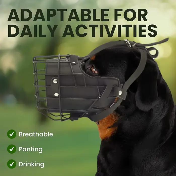 Muselière réglable en acier inoxydable pour chien - Harnais d'entraînement respirant anti-morsure avec boucle pour