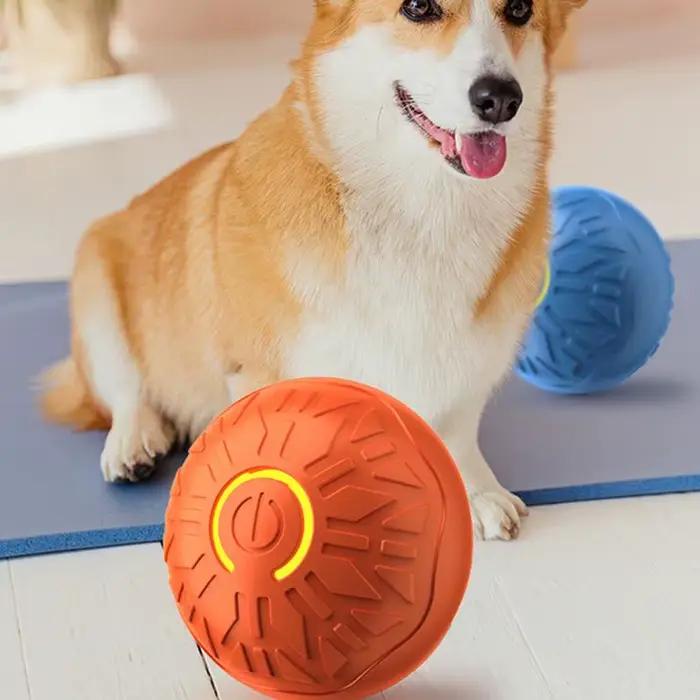 Jouet pour chien, balle d'enrichissement pour chiens