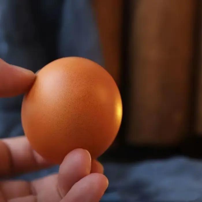 Jouet anti-stress Shibako en forme d'œuf de chien réaliste