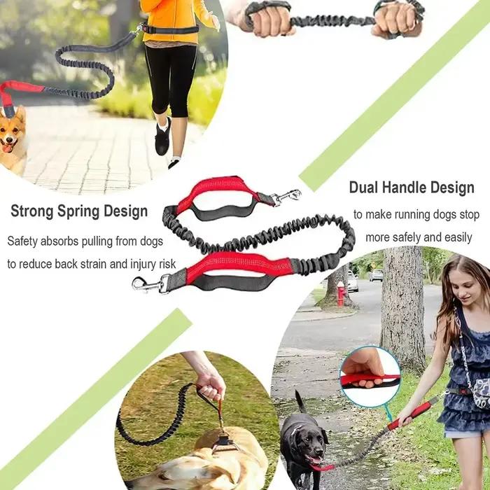 Laisse rétractable pour chien avec corde de taille réglable