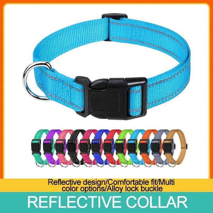 Colliers pour chiens tour de cou petit collier de chien