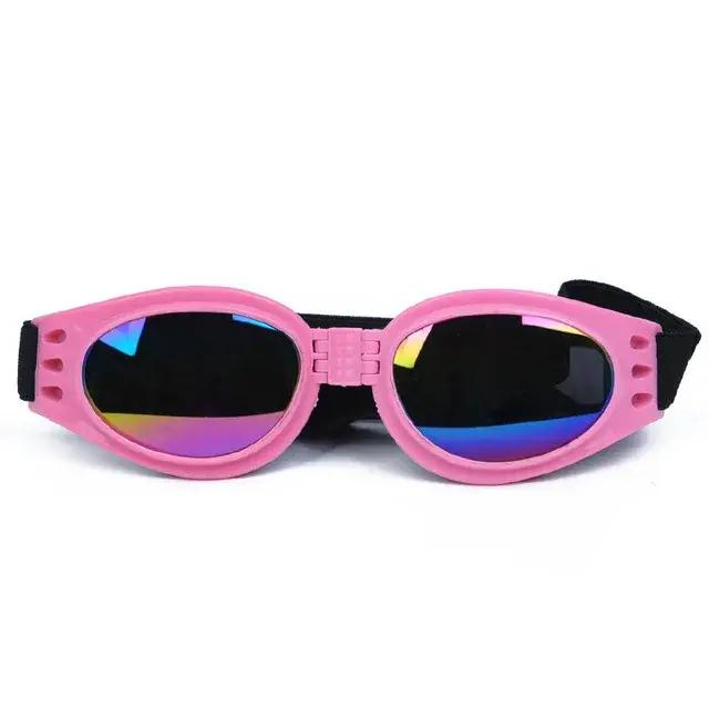 Lunettes pliables pour chiens de compagnie