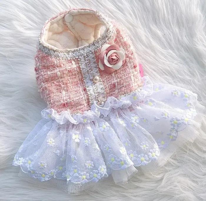Manteau d'hiver en coton avec jupe en dentelle pour chiots