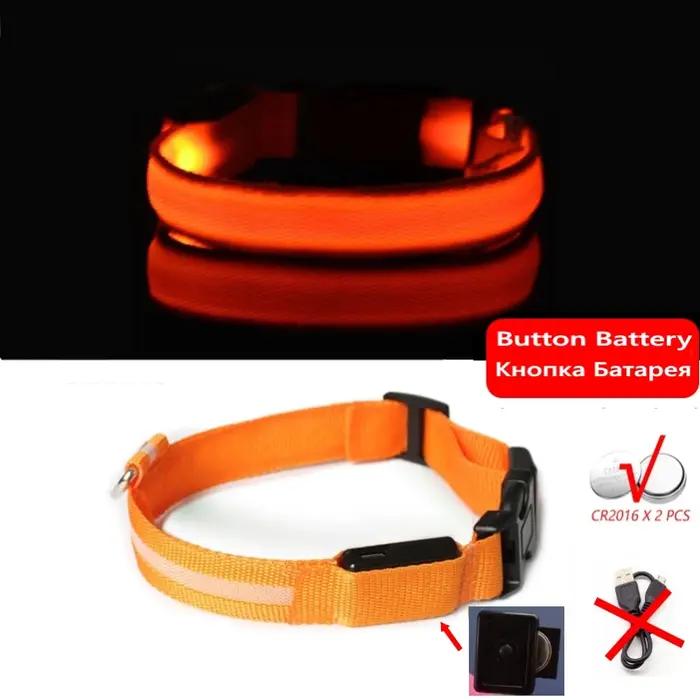 Collier Anti-perte pour chien