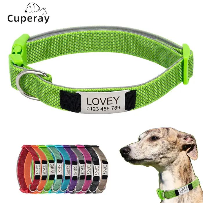Collier pour chien personnalisé avec étiquette gravée amovible