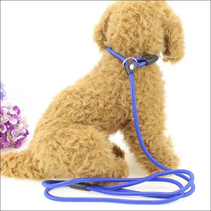 Qualité chien laisse corde en Nylon réglable entraînement plomb chien laisse chien sangle corde Trac